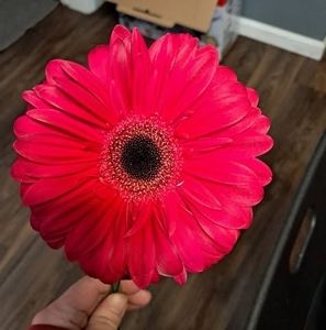 Meet your Posher, Courtney